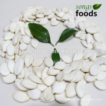 Chinese Wholesale  White Pumpkin Seeds Ton Price